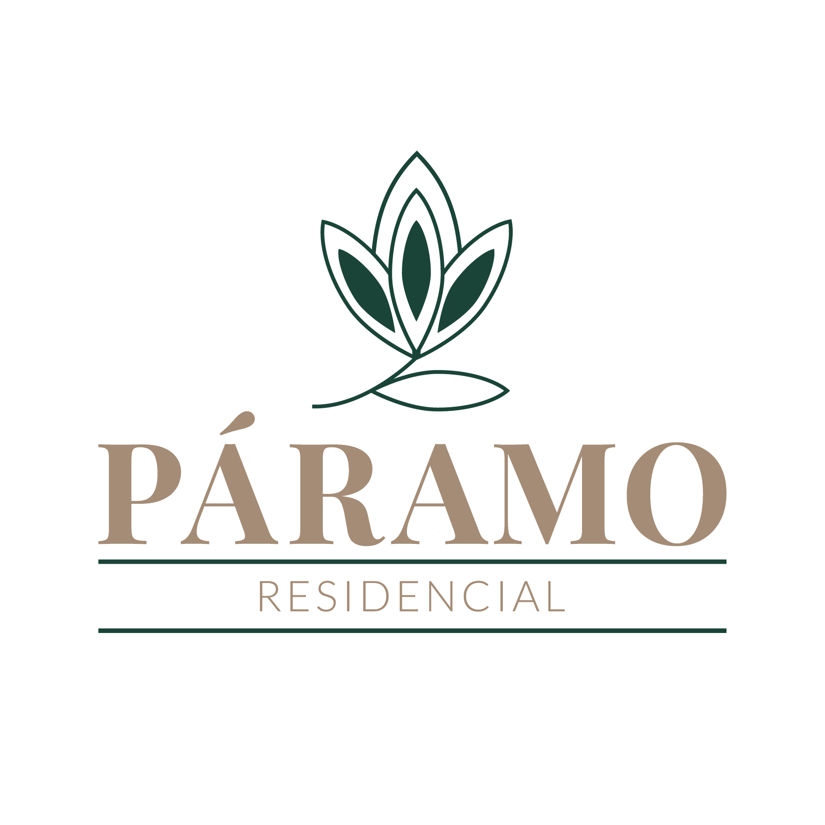 Paramo